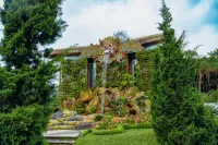 The Blooms Villas Отели в г. Бедугул