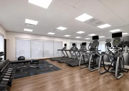 Holiday Inn Express & Suites DETROIT - DEARBORN by IHG