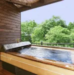 Araki Kousen Ryokan (Japanese-Style Hotel)