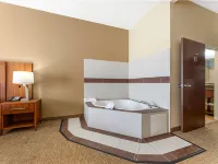 Comfort Inn & Suites Porter Near Indiana Dunes Hotels in Porter County