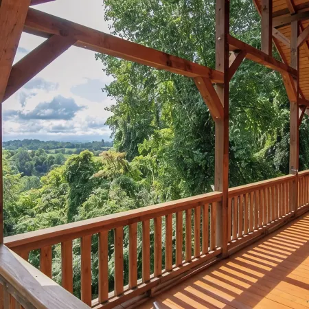 2 Acres of pure paradise with amazing Mountain View’s!! Minutes from Emory&Henry