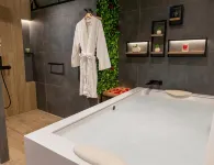 Palmetto Hotel Business San Borja