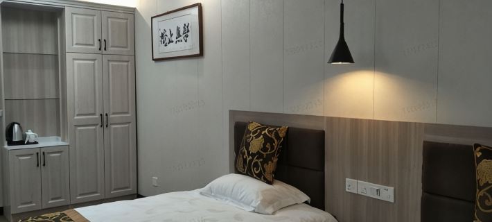Zhenzhen Business Express Hotel Hotéis em Condado de Zongyang