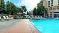 San Ramon Marriott - Pools