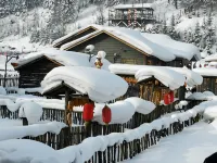 เกสต์เฮาส์ซวีกู่ติ้งจื่อฮั่นซื่อซ่าง - สัตว์เลี้ยง