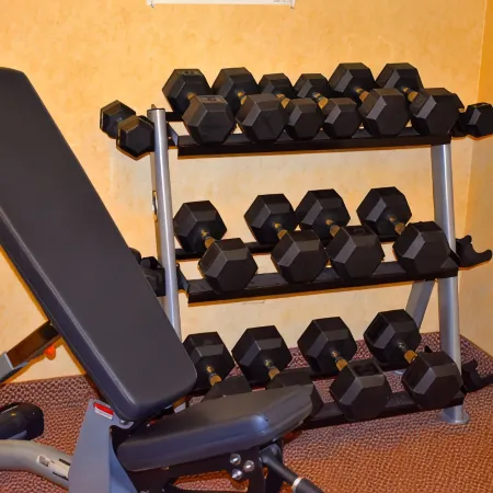 Holiday Inn Express & Suites DEWITT (SYRACUSE) by IHG