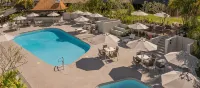 Tanoa International Hotel - Pools