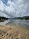 Serene Cottage Escape in Wells, NY ADK Peace, Pines & Possibility. Dogs Welcome! - Wifi