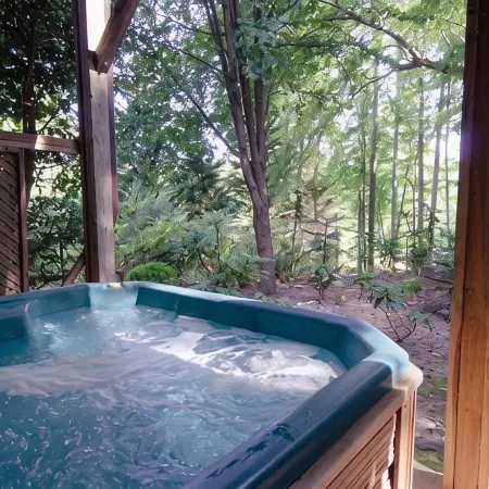 Golf Fans Welcome! Private Cabin Near Asheville's PGA Tour Event