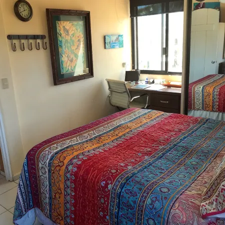 Casa Artista - San Jose del Cabo