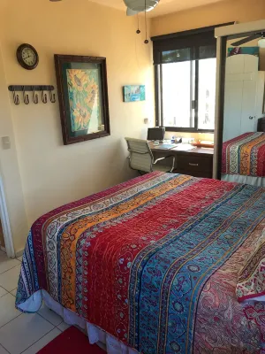 Casa Artista - San Jose del Cabo