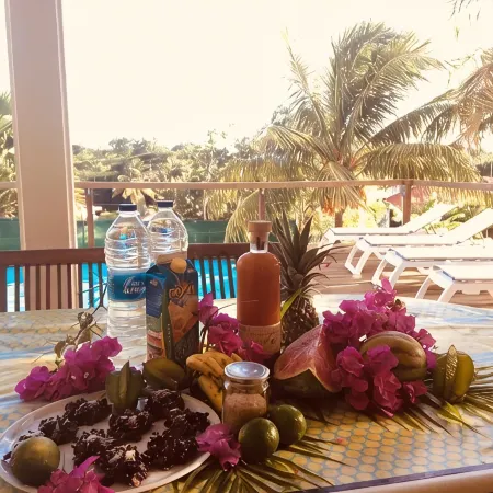 Comfortable villa, swimming pool, tropical garden, near beach st Anne, 8 pers