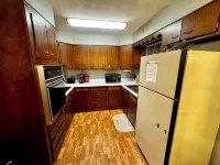 Sportsman's Country Lodge: Wild Turkey - Wifi