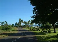 Poipu Dream Location only 3 Houses from Poipu Beach Park! with Air Conditioning - 3-Star