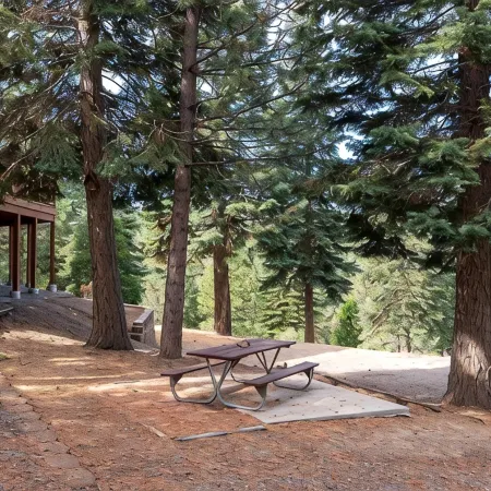 Large Luxury Cedar Home in the Forest at Lake Davis near golf courses - 3NightM