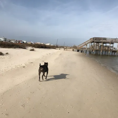 Private Waterfront Bay Beach. Huge Back Deck Overlooking the Bay.  Bring Dogs!