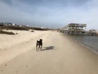 Private Waterfront Bay Beach. Huge Back Deck Overlooking the Bay.  Bring Dogs! - ติดทะเล