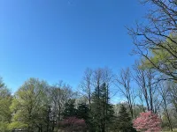 LOG  CABIN IN ZEN FOREST Hotels in Shawangunk