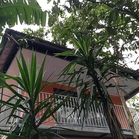 Río Celeste Katira, Private room overlooking Green Areas