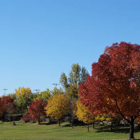 Cozy, pet friendly, home. Great location for walks, food, Boulder, Lyons & RMNP