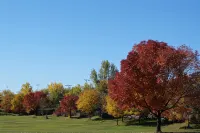 Cozy, pet friendly, home. Great location for walks, food, Boulder, Lyons & RMNP - 3 tähden