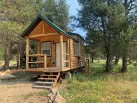 #31 Tranquil Pines Tiny Houses Horse Friendly - Chalets