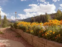 Valley Hi Hotel Hotels near Arrow