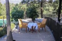 Punarnava Wellness Resort & Spa - 2성급