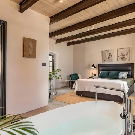 Villa Elena - Four Bedroom Villa with Pool Hotels in Golaš