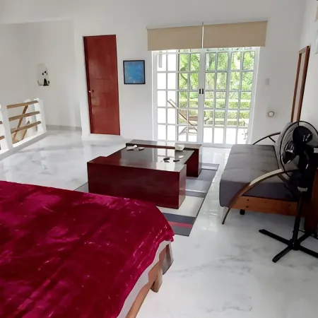 CASA XOLA BIRDWATCHING AND CENOTE LOFT <br>LUXURY IN THE JUNGLE.<br>5 min from reefs!