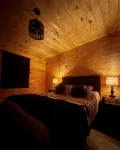 Cozy cabin with in the heart of Benezette, 1 mile from viewing center. - Chalets