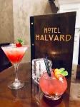 Halvard Hotel - bar