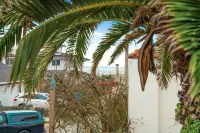 Coast PalmTree Yard 2BR Block from Beach - Homestays