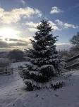 Long Mountain Centre Log Cabins
