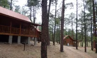 Circle Pine Ranch-"The Real Log Cabin Experience" - Homestays