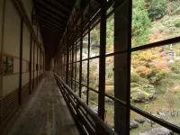 Henjoukoin - Hot Springs