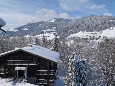 Megeve. Very nice little studio in residence ideal for winter and summer.