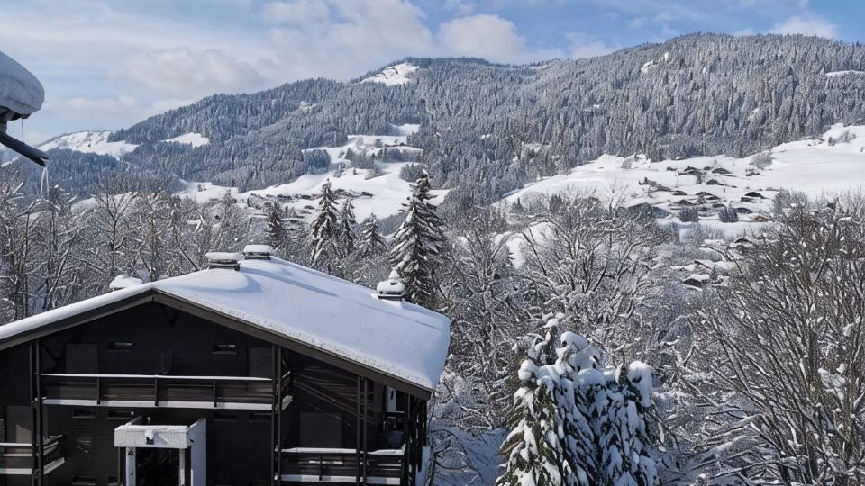 Megeve. Very nice little studio in residence ideal for winter and summer.