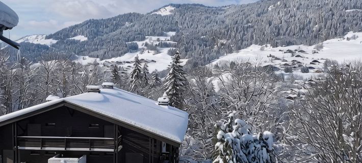 Megeve. Very nice little studio in residence ideal for winter and summer. Hotels in Megeve