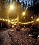 Cozy cabin sitting directly on multiple creeks for the most relaxing stay. - balcon