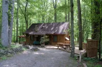 Rustic Mountain Retreat-Bear Paw - 3-Star