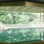 Yoshikawaya - piscina