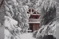 Sycamore Avenue Treehouses & Cottages Accommodation - Lodges