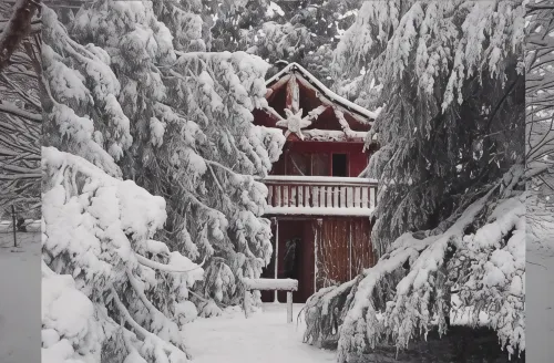 Sycamore Avenue Treehouses & Cottages Accommodation - 3-Sterne