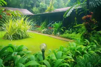 Heritage Lodge - in the Daintree Hotels in Diwan