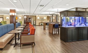 Comfort Inn Syosset-Long Island