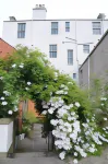 The Bank Guest House