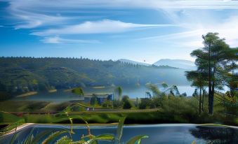 Camellia Hills