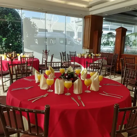 Hotel Villa Florida Puebla