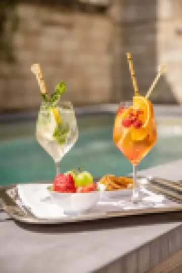 La Maison de Rhodes  le Champ des Oiseaux